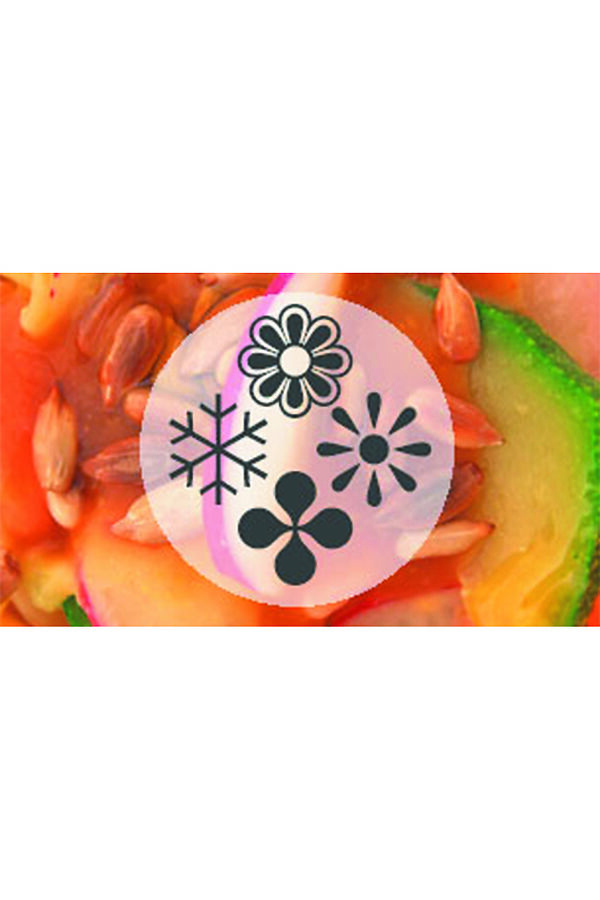 Talleres de cocina de temporada: otoño, invierno, primavera, verano EspaiCuinarSa