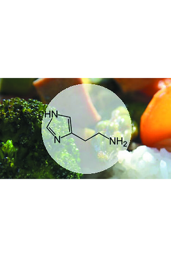 Talleres de alimentación antihistamínica y sin gluten para calmar un intestino irritable