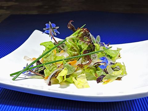 Ensalada verde con mostaza y jugo de manzana por Matthias Hespe.