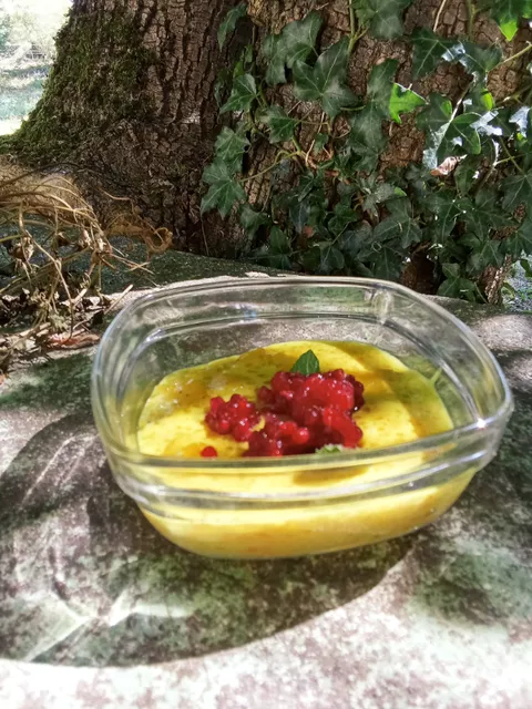 Gelatina de manzana y melocotón con perlas tapioca y cúrcuma - Receta Matthias Hespe