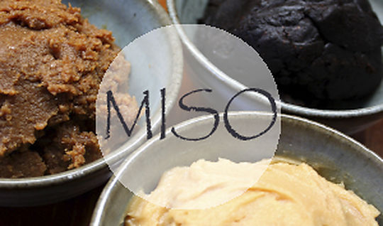 La importància del Miso per una bona alimentació - Matthias Hespe EspaiCuinarSa