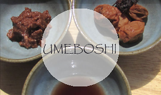Umeboshi, condimento y alimento terapéutico - #MatthiasHespe