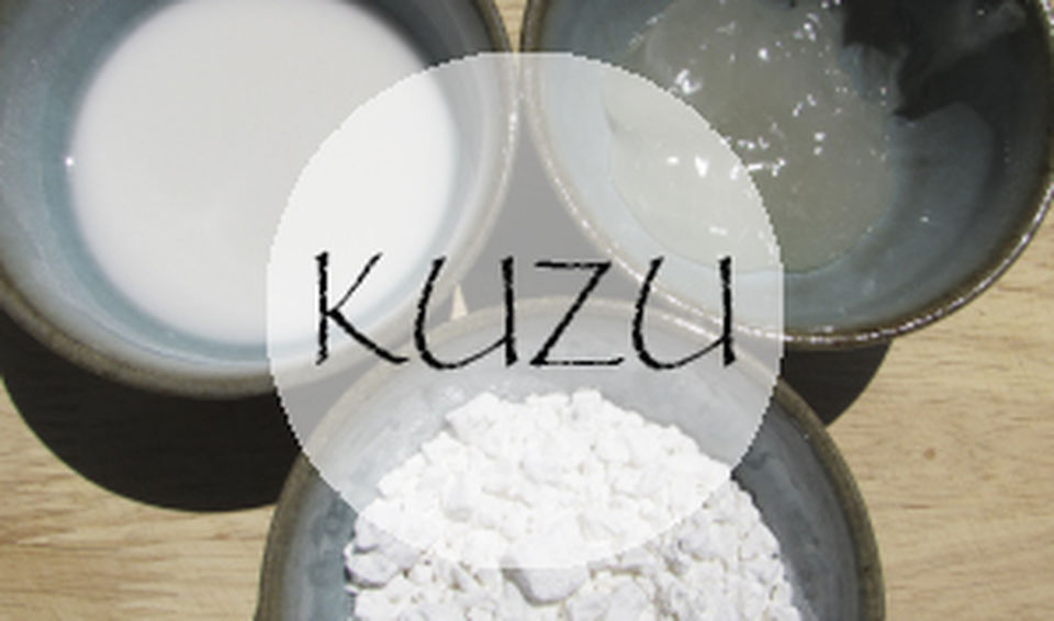 Kuzu, espesante y alimento terapéutico - recetas con Kuzu - Matthias Hespe