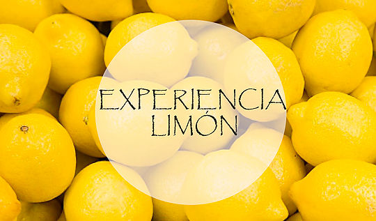 Fantastica experiencia con una limón EspaiCuinarSa Matthias Hespe
