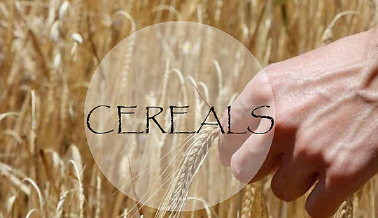 Els cereals integrals i la seva importància en la Macrobiòtica - Matthias Hespe