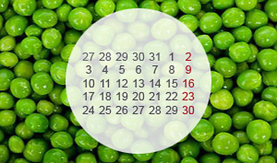 calendario primavera agenda EspaiCuinarSa Matthias Hespe