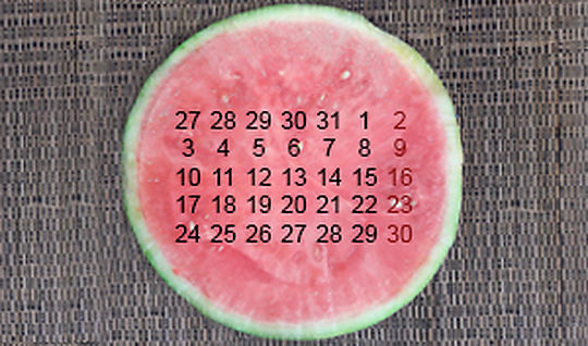 Activitats EspaiCuinarSa calendari d'estiu